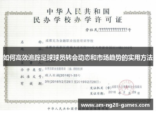 如何高效追踪足球球员转会动态和市场趋势的实用方法