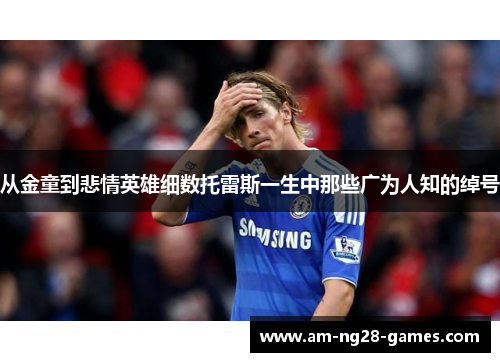 从金童到悲情英雄细数托雷斯一生中那些广为人知的绰号